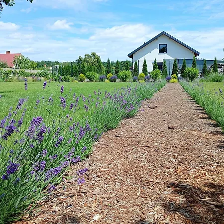 Pod Lipami Gołuchów