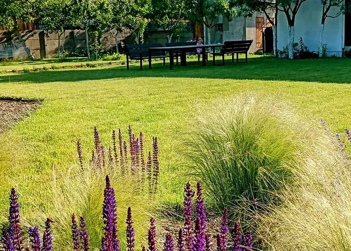 Pod Lipami Фермерский дом *