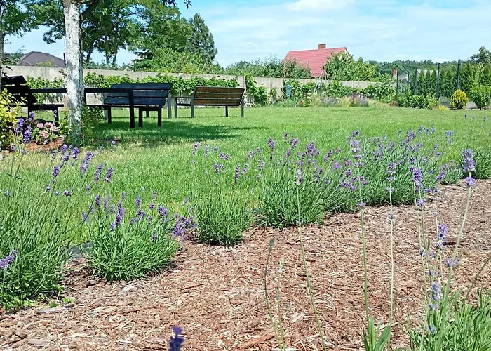 Pod Lipami * Goluchow